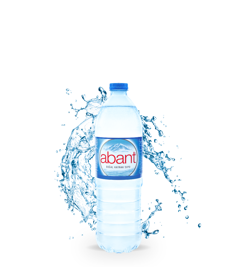 ABANT 1.50LT 12 Lİ